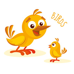 Birds vector illustration
