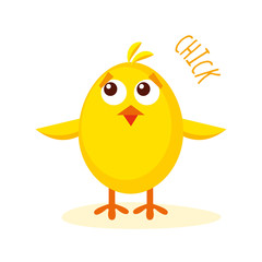 Chick vector illustration