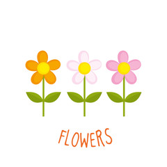 Flowers vector illustration