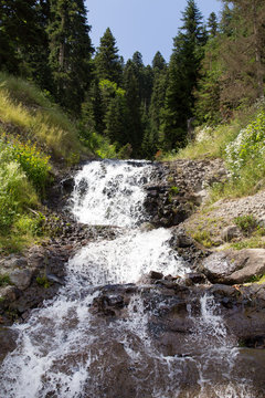 Waterfall in the summer mountains