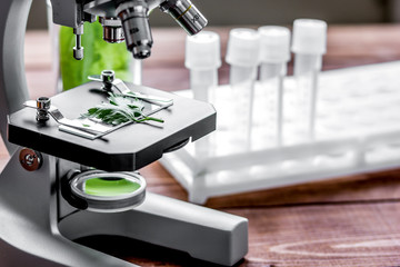 concept healthy food inspection herbs in laboratory