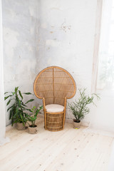 Wicker doll chair and a lot of greenery in the pot in the room with grey walls. Rattan chair and furniture on the wooden floor. Wicker chair.