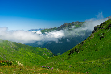 Fototapeta premium Kackar mountains. Rize - Turkey