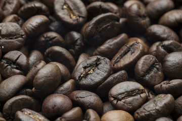 coffee beans macro photo