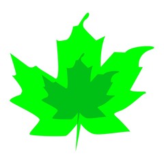 decoration, leaf and tropical icon