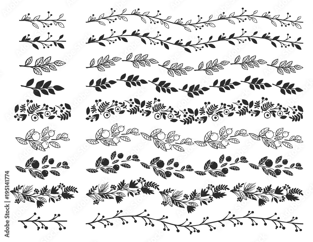 Wall mural vintage botanical decorative borders. hand drawn vector design elements.