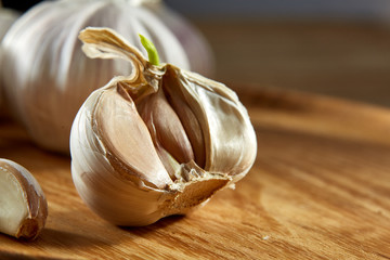 Garlic close up on wooden plate on rustic background, shallow depth of field, selective focus, macro.