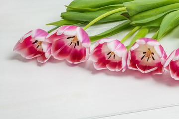 Colorful red tulips bouquet on white wooden background. Red and white. Top view with space for your text