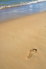Footprints in the sand on the beach .