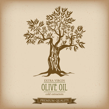 Olive tree on vintage paper. Olive oil. Vector olive tree. For labels, pack.