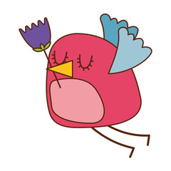 bouquet delicate tulips flowers wrap ribbon bow decoration