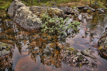 Beautiful reflections in Finnish lakes