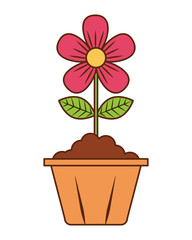 flower in pot decoration interior ornament