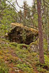 Beauty of Finnish nature