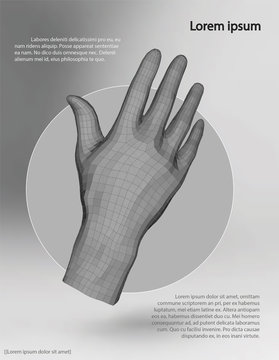 Polygonal Wire Frame Hand