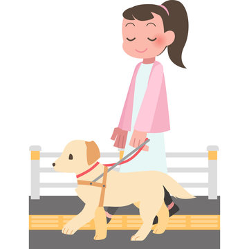 786 Best 盲導犬 Images Stock Photos Vectors Adobe Stock