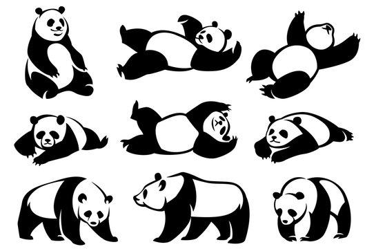 Premium Vector  Vector black and white template funny panda silhouette of  illustration for newborn and nursery design