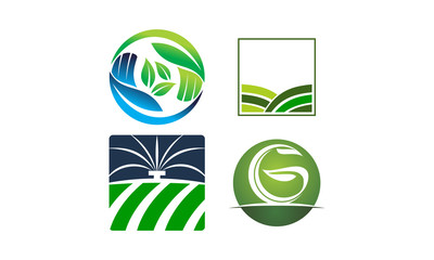 Leaf Template Vector Set