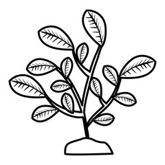 leafs plant natural icon vector illustration design