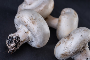 Fresh mushrooms champignons on black stone background. Close-up.