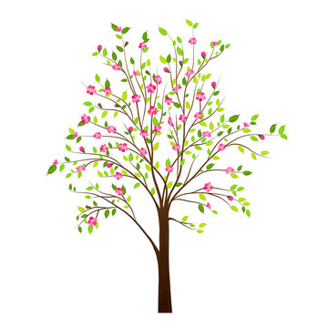 Spring tree with flowers isolated on white background vector