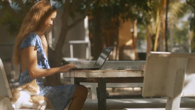 Girl Types on Computer Cat Sits on Bench in Shade