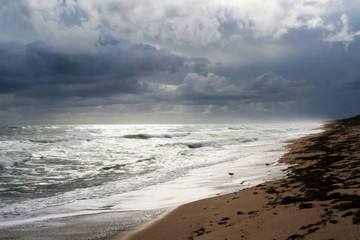 Fototapeta na wymiar Storm clouds and rain on the coast of Florida.