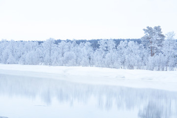 Naklejka premium Beautiful frozen river with a trees on a bank. White winter landscape of central Norway. Light scenery.