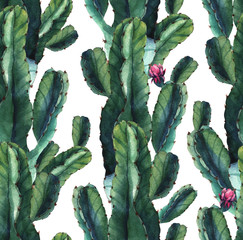 Cactus. Watercolor seamless pattern