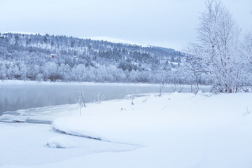 Fototapeta na wymiar Beautiful frozen river with a trees on a bank. White winter landscape of central Norway. Light scenery.