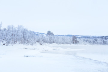 Beautiful frozen river with a trees on a bank. White winter landscape of central Norway. Light scenery.