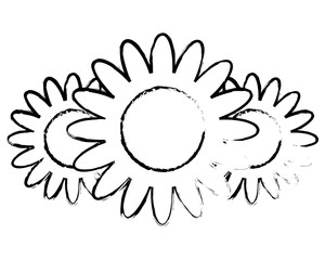 three flowers decoration nature romantic