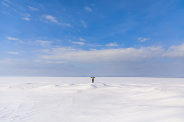 Woman on the frozen bay in winter