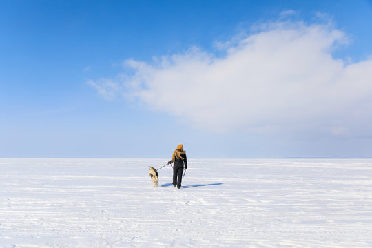 Woman with sled dog on the frozen bay in winter