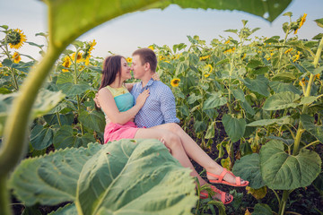 Obraz premium girl and man in a field of sunflowers
