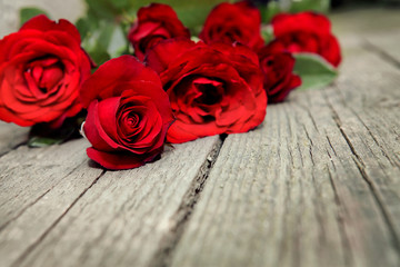 Roses of love
