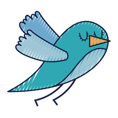 cute cartoon bird animal beauty