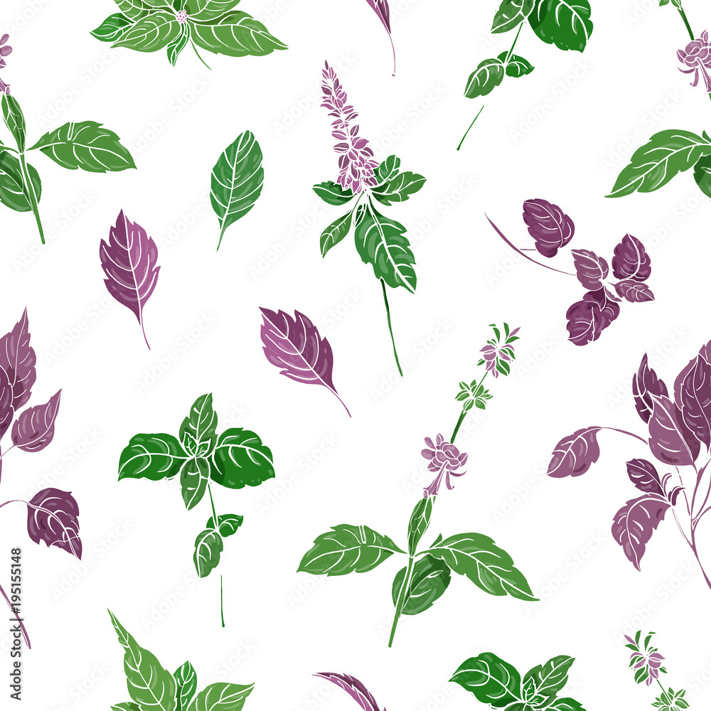 Poster seamless pattern with green an purple basil leaves and inflorescences hand drawn on white background