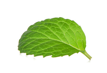 Obraz premium single fresh mint leaf isolated on white background
