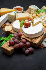 Various types of cheese - parmesan, brie, roquefort, cheddar