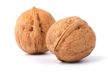 Walnut