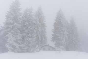 Naklejka premium small idyllic mountain cabin in the forest and mountains in deep winter in the Alps