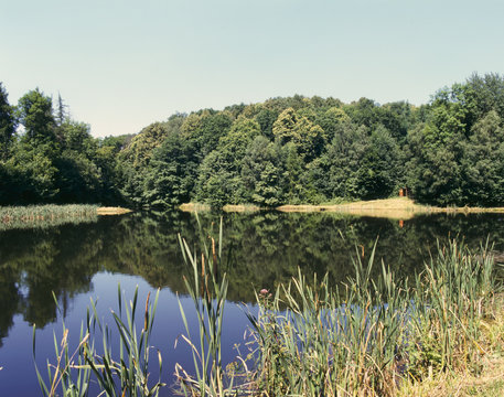 An Idyllic Fishing Lake In Rural Oxfordshire, UK