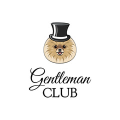 Cute Spitz in top hat. Gentleman club. 