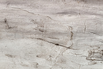 light wood texture, natural wood background