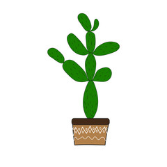 Cute cactus in a flowerpot on a white background.