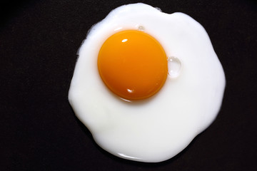 fried egg close up