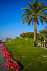 Fototapeta premium landscap in day light and tree