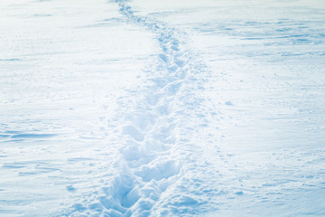 Obraz premium Beautiful fresh snow pattern in minimalistic style. Winter background. Norway, Northern Europe. Close up texture