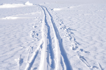 Fototapeta na wymiar Cross country ski track.